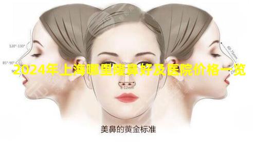 2024年上海哪里隆鼻好及医院价格一览