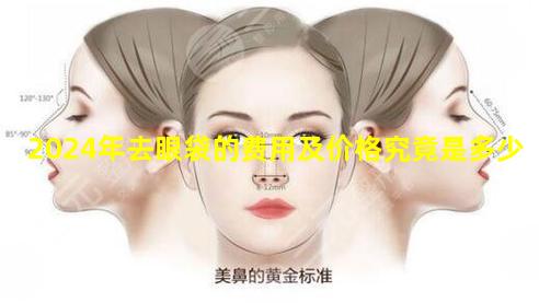 2024年去眼袋的费用及价格究竟是多少