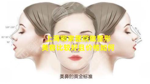 上海哪家医院做整形美容比较好且价格如何