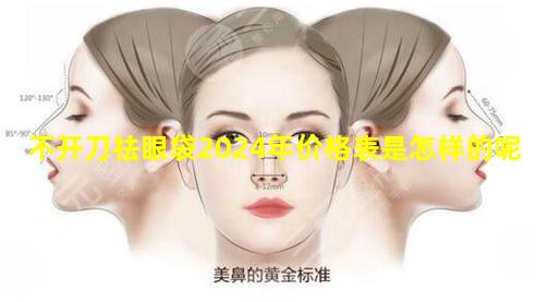 不开刀祛眼袋2024年价格表是怎样的呢