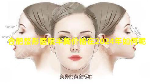 合肥整形医院丰胸价格在2024年如何呢