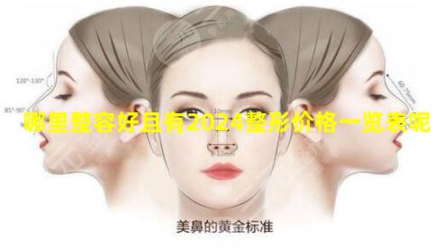 哪里整容好且有2024整形价格一览表呢