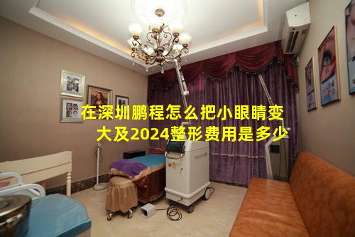 在深圳鹏程怎么把小眼睛变大及2024整形费用是多少