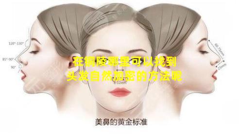 在铜陵哪里可以找到头发自然加密的方法呢