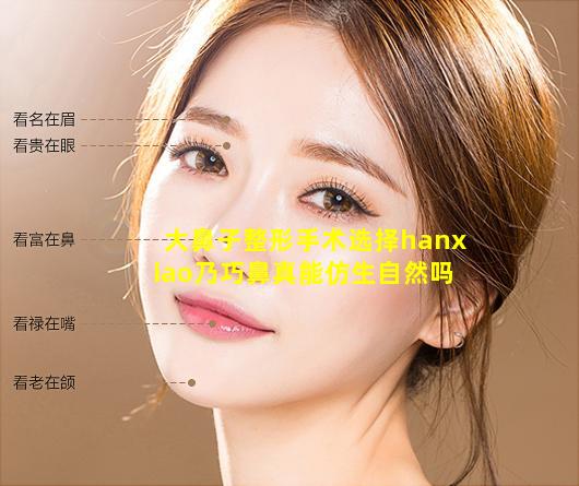 大鼻子整形手术选择hanxiao乃巧鼻真能仿生自然吗