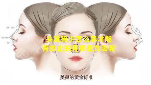 头发稀少怎么养才能有效止脱有哪些方法呢