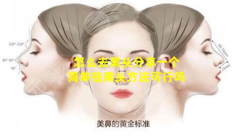 怎么去黑头分享一个简单祛黑头方法可行吗