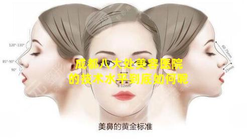 成都八大处美容医院的技术水平到底如何呢
