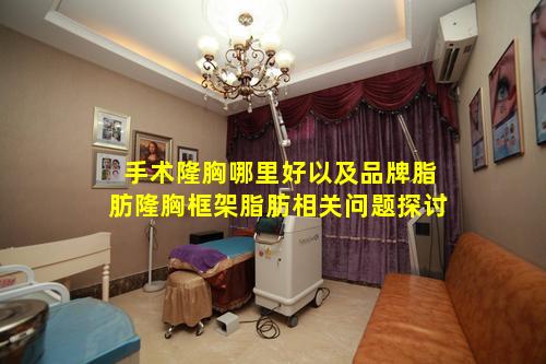 手术隆胸哪里好以及品牌脂肪隆胸框架脂肪相关问题探讨