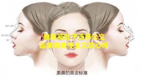 抽脂减肚子选择公立品牌真能专业又放心吗