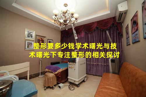 整形要多少钱学术曙光与技术曙光下专注整形的相关探讨