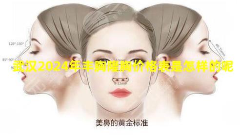 武汉2024年丰胸隆胸价格表是怎样的呢