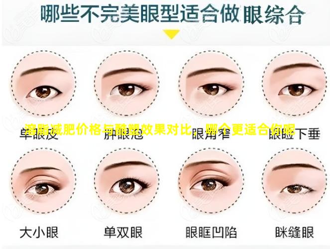 溶脂减肥价格与酷塑效果对比，哪个更适合你呢