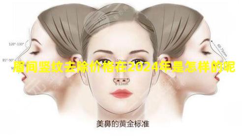 眉间竖纹去除价格在2024年是怎样的呢