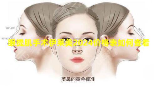 眼提肌手术伊莱美2024价格表如何查看