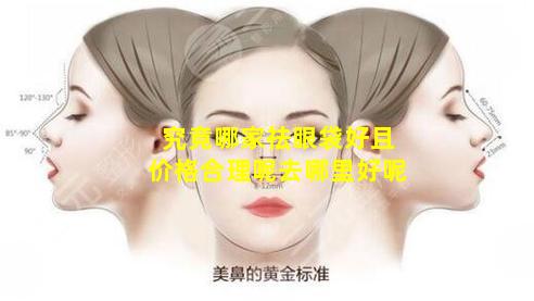 究竟哪家祛眼袋好且价格合理呢去哪里好呢