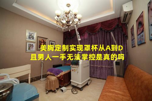 美胸定制实现罩杯从A到D且男人一手无法掌控是真的吗