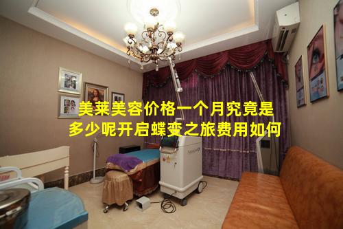 美莱美容价格一个月究竟是多少呢开启蝶变之旅费用如何