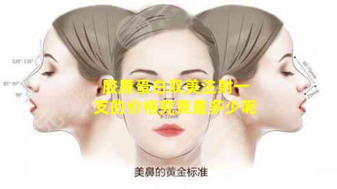 胶原蛋白双美注射一支的价格究竟是多少呢