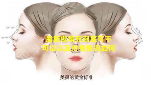 脂肪做填充到底可不可以以及价格情况如何