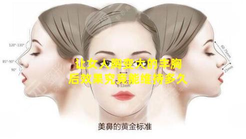 让女人胸变大的丰胸后效果究竟能维持多久