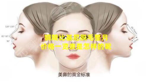 铜陵比基尼脱毛整月价格一览表是怎样的呢
