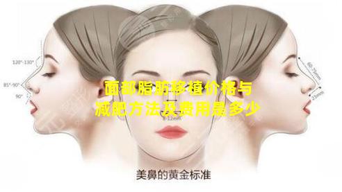 面部脂肪移植价格与减肥方法及费用是多少