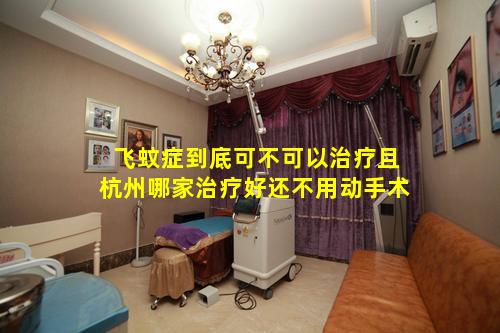飞蚊症到底可不可以治疗且杭州哪家治疗好还不用动手术
