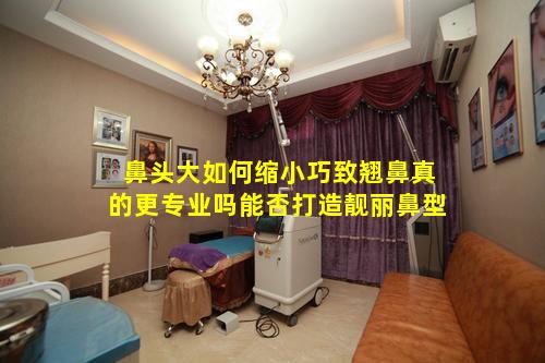 鼻头大如何缩小巧致翘鼻真的更专业吗能否打造靓丽鼻型