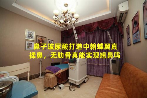 鼻子玻尿酸打造中翰蝶翼真揉鼻，无肋骨真能实现翘鼻吗