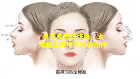 鼻子难看想改善，上海隆鼻费用及特惠如何
